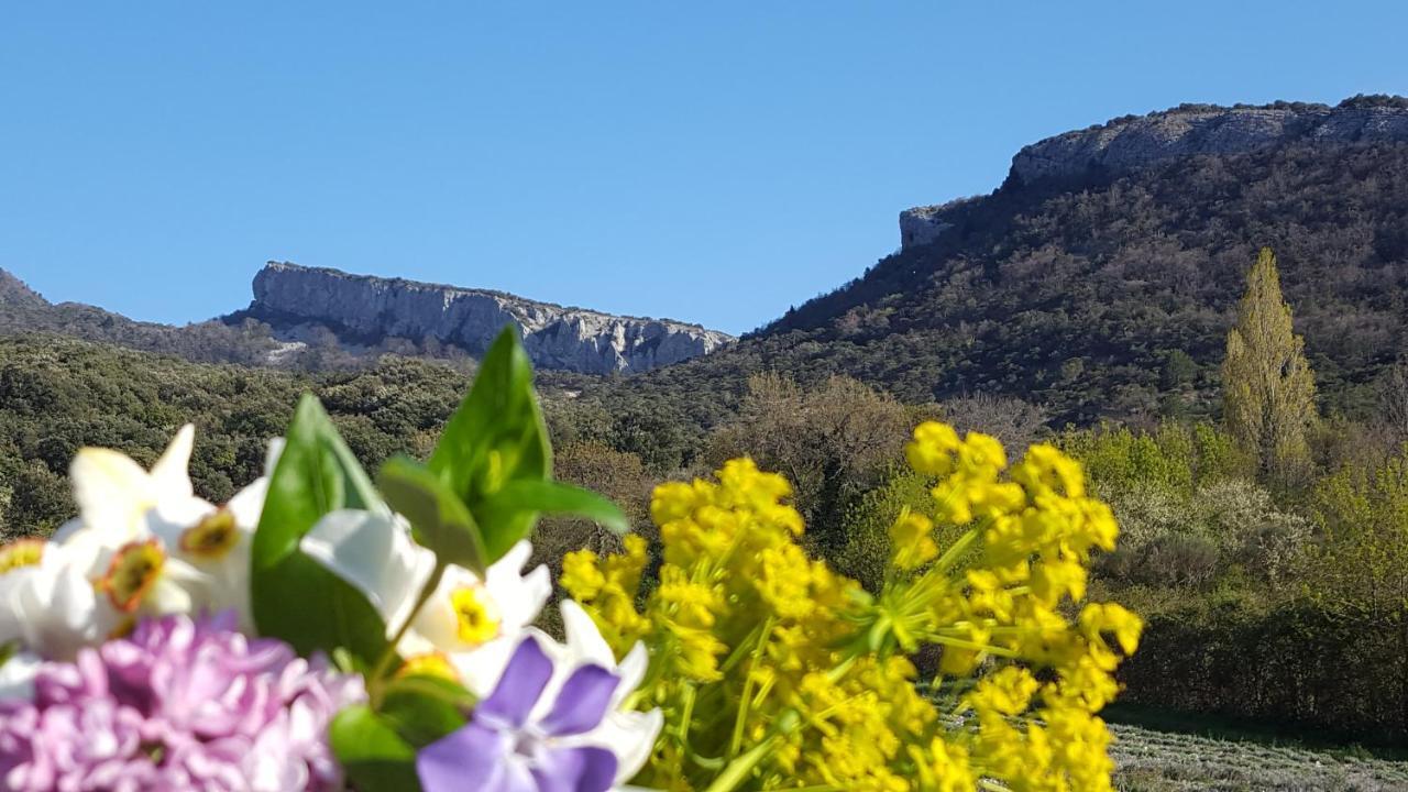 Un Petit Coin De Paradis Le Pegue Bagian luar foto